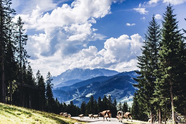 Ausblick von der Lisa Alm